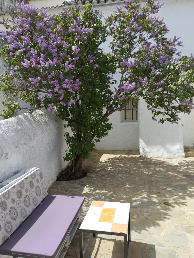 Вілла Casa Bejar, Tranquila Casa Con Chimenea, Patios, Junto A La Piscina Canete la Real Екстер'єр фото